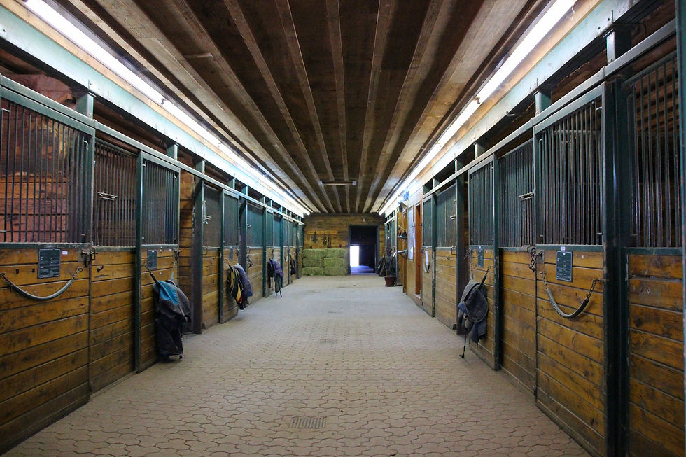 Training Barn