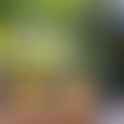 Bourbon 101 for the Ambitious Collector: 5 Foundational Bottles to Know + 5 of the Most Expensive Right Now