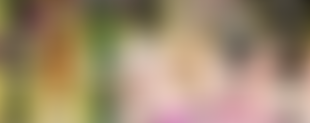 collection of luxury watches on colorful background