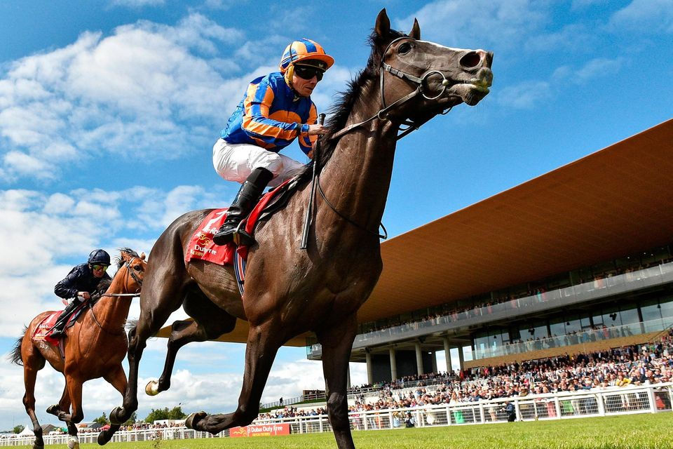 two race horses and jockies at the Irish Derby racing
