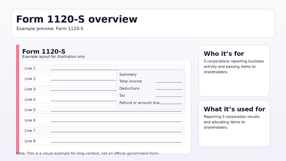 Example preview of Form 1120-S layout showing S corporation reporting fields with a summary box for pass through items.