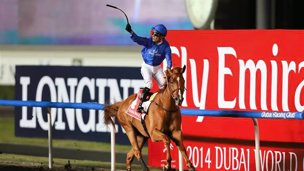 horse with jockey standing up in blue jacket and white pants waving his whip