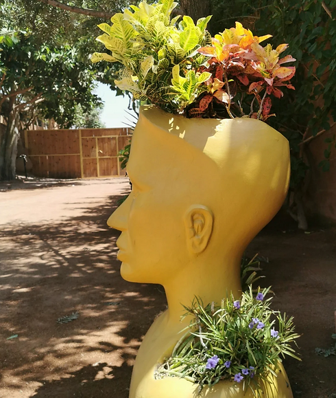 Screenshot 2025-09-05 at 3.35.21 PM.png