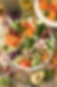 These pictures are part of a set of photos that were taken towards the end of the summer t