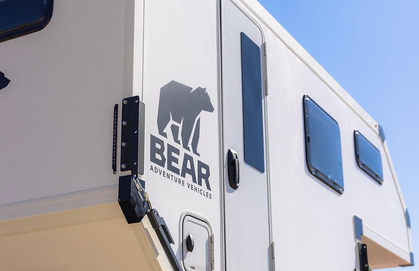 Polar Bear