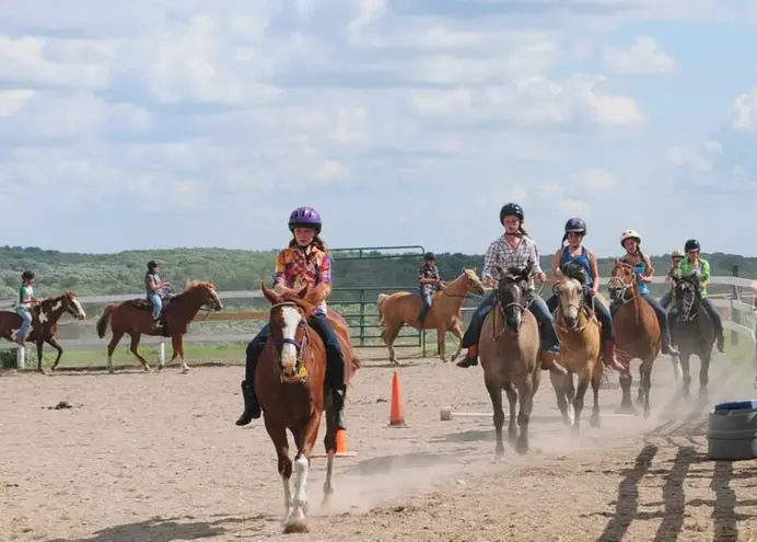horse class.webp