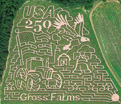 Gross air photo 2026.jpg