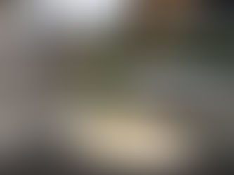 とある施設の庭