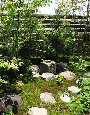 DSC03311_edited.jpg