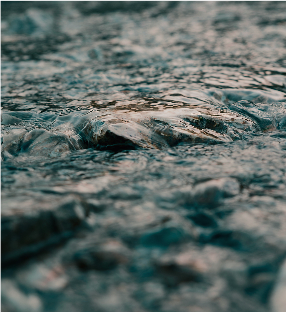 image 13.png