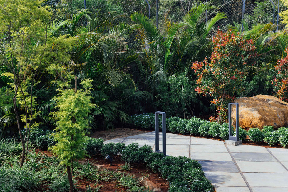 a concrete walkway surrounded by trees and bushes