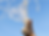 image 15.png
