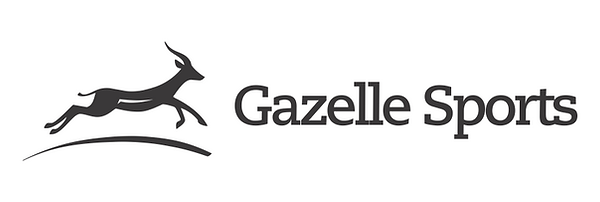 GS Logo Grey Horizontal.png