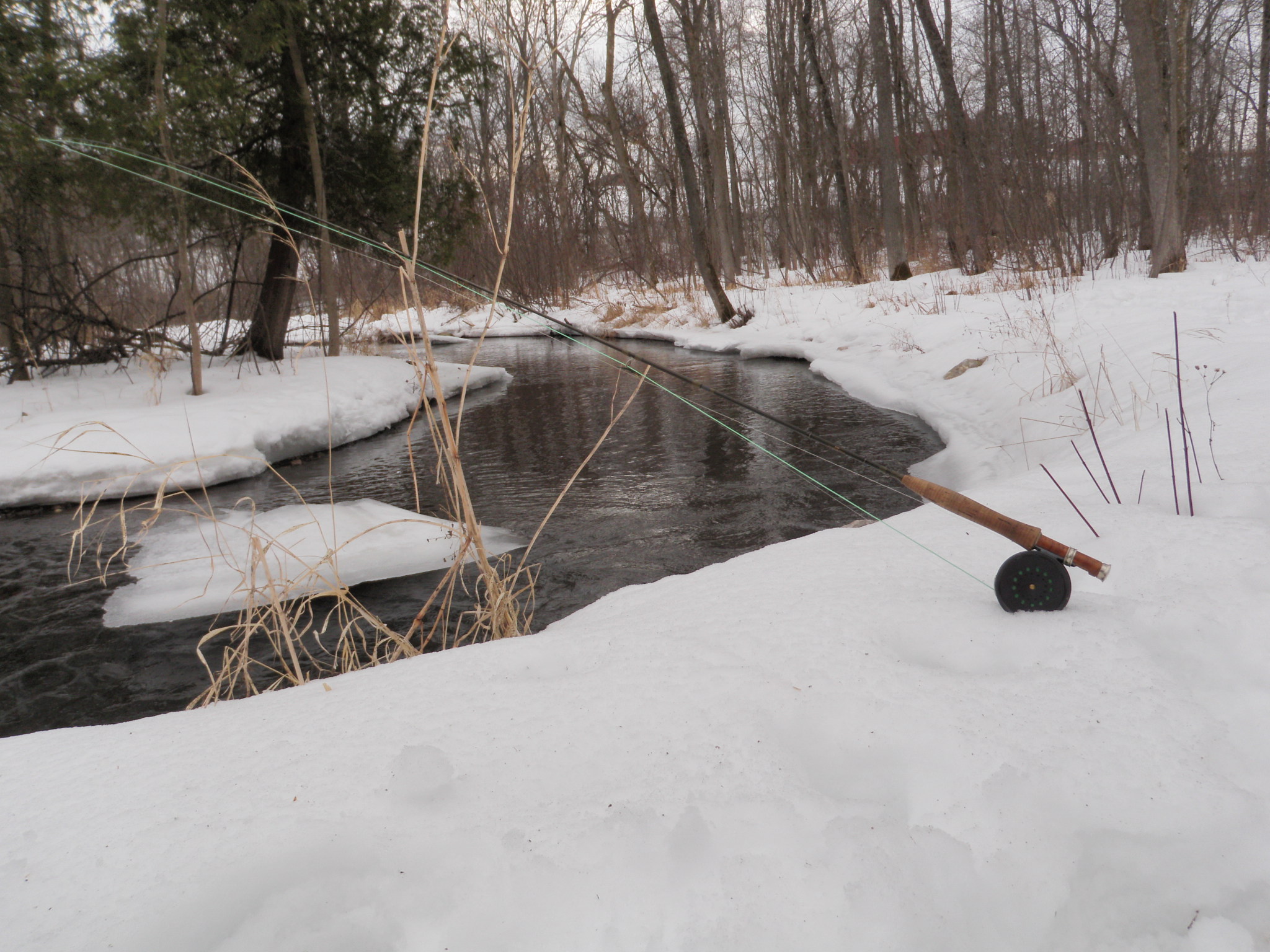 January fishing