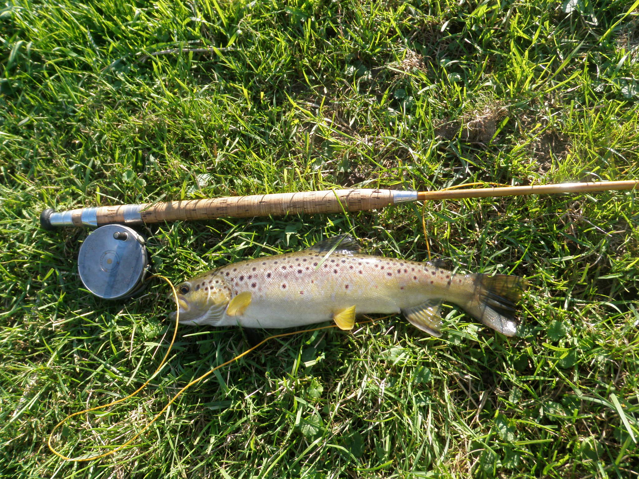 Wet fly rod, silk line, and trout.