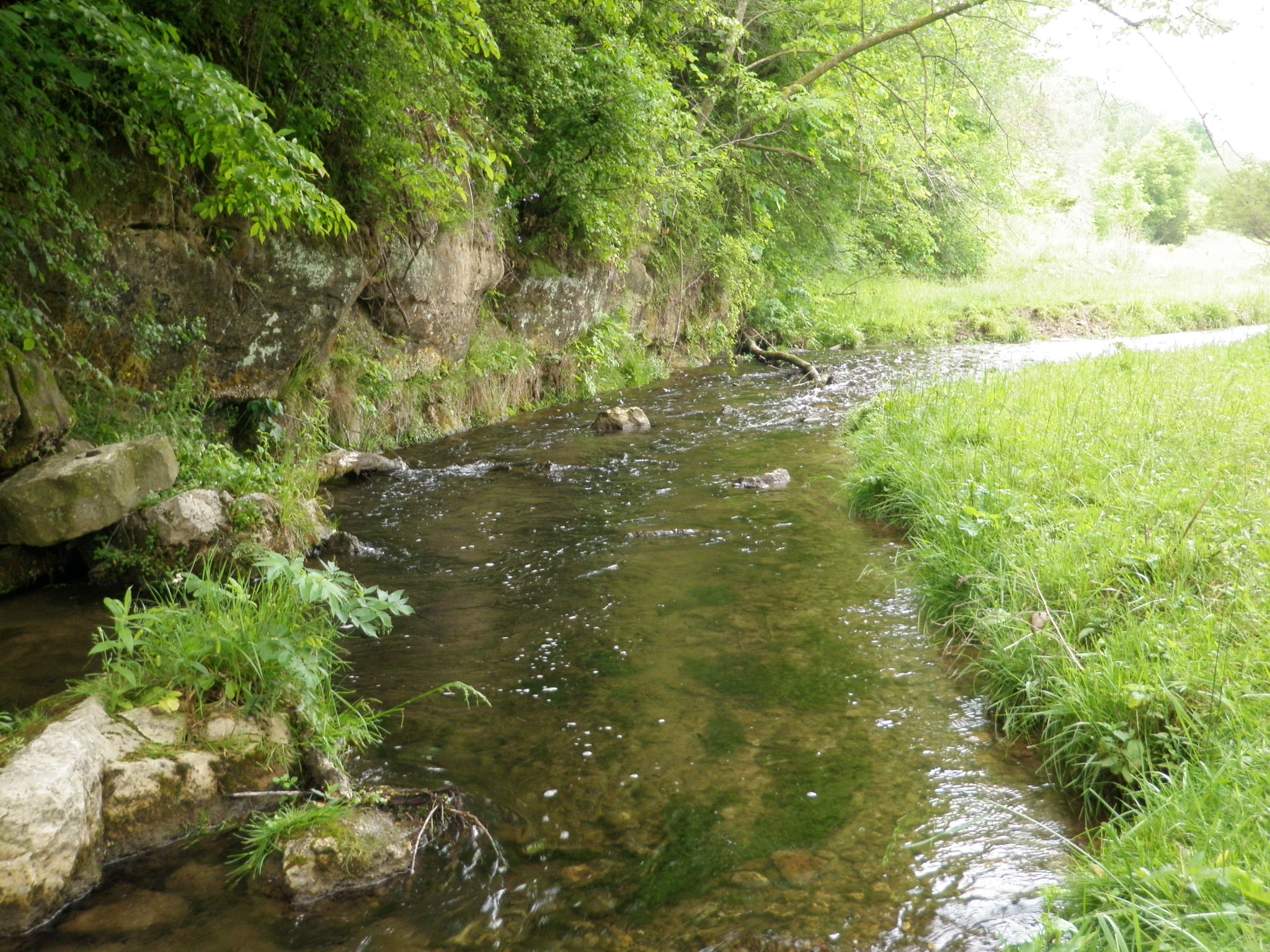 Lovely Spring run.