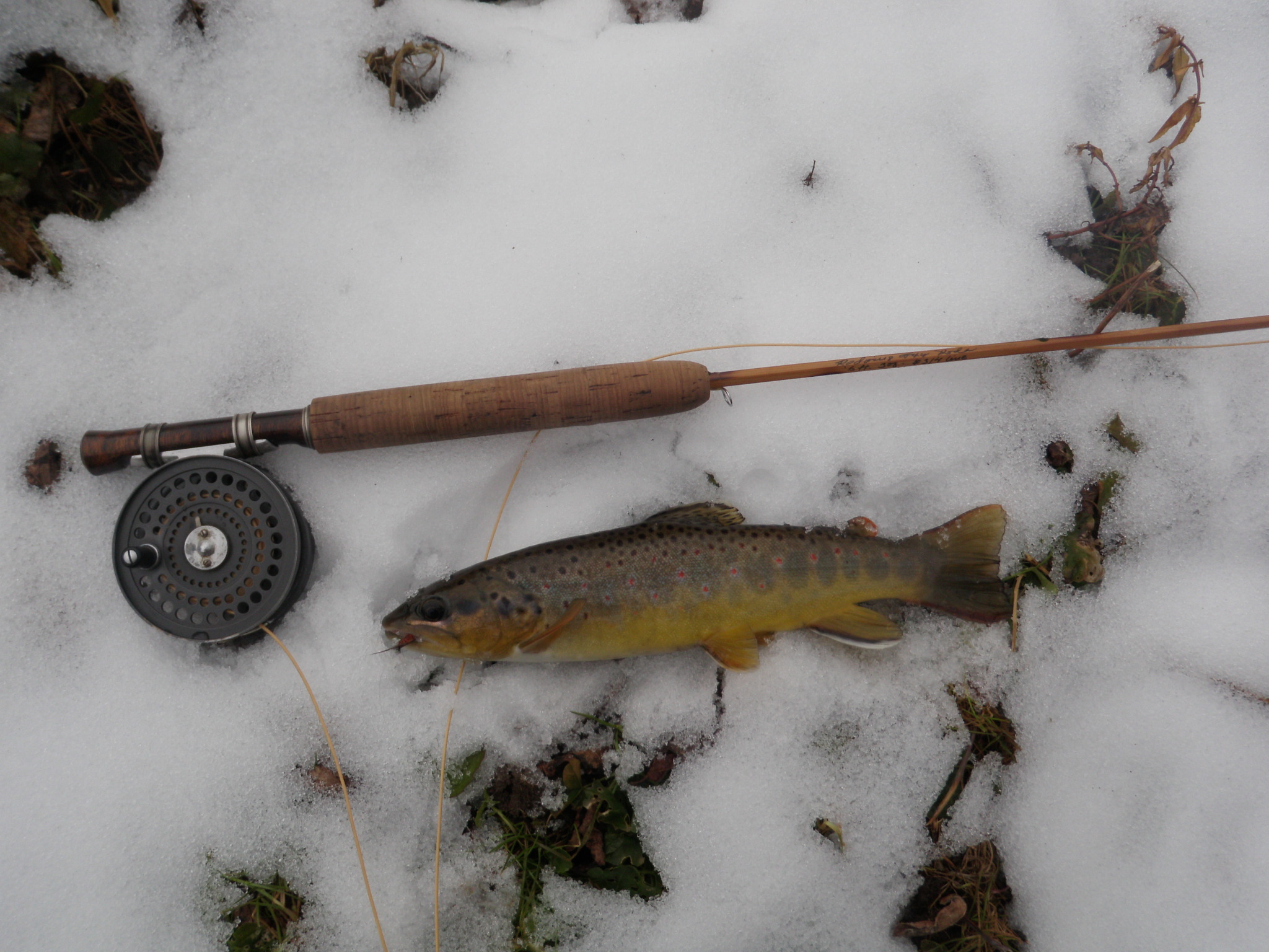 Soft hackle brown