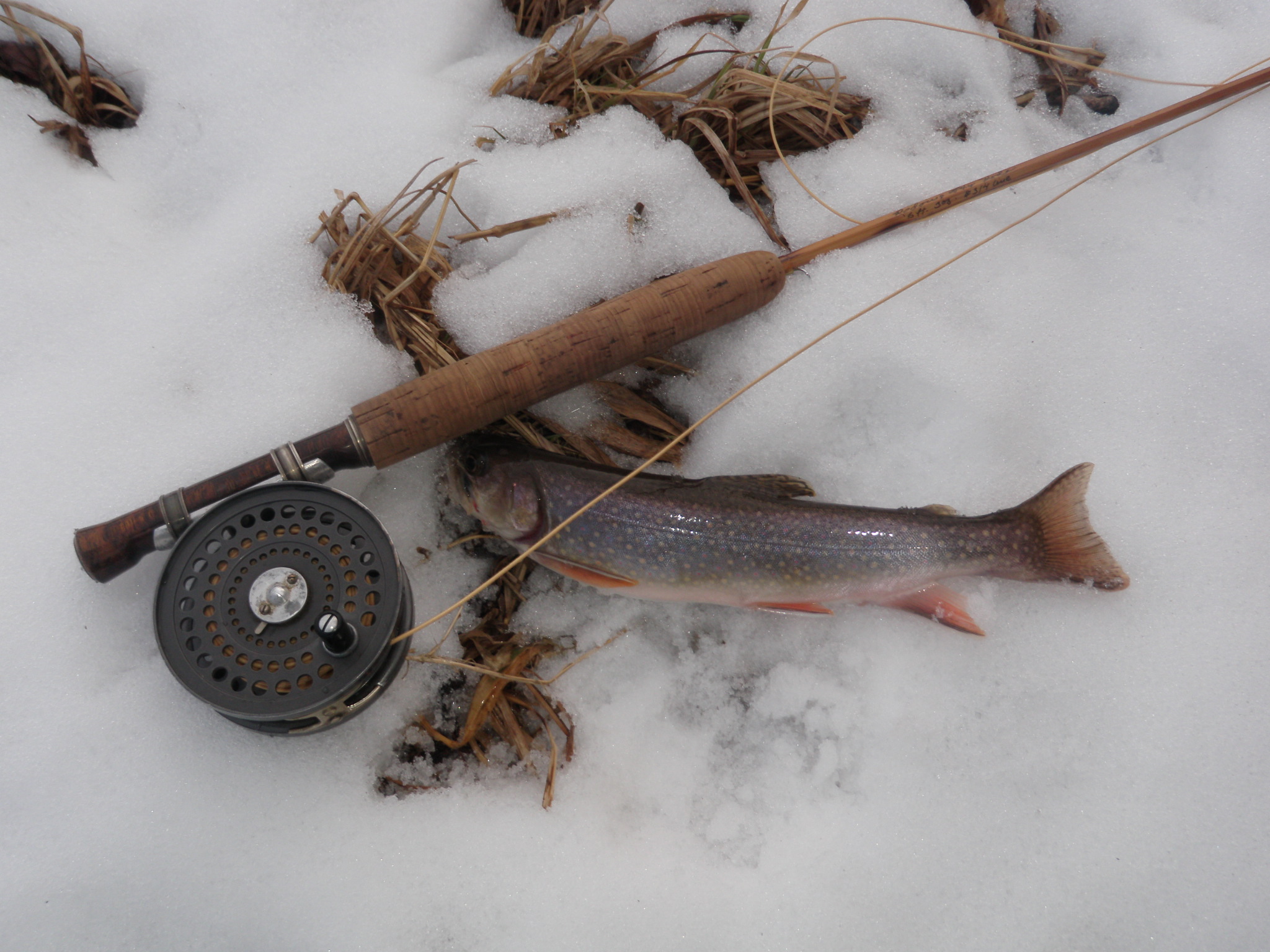 January Brookie