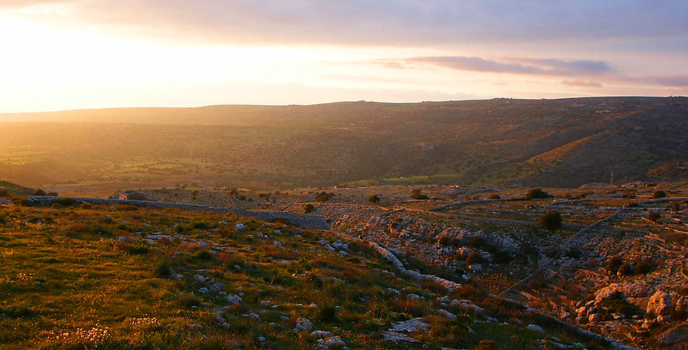 Vallata dal Piano ceci.JPG