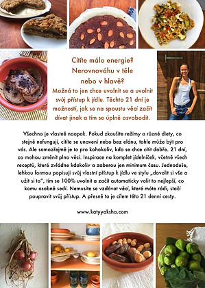 21 - cover zadní.jpg