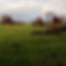 InfoTechA_02_edited.jpg