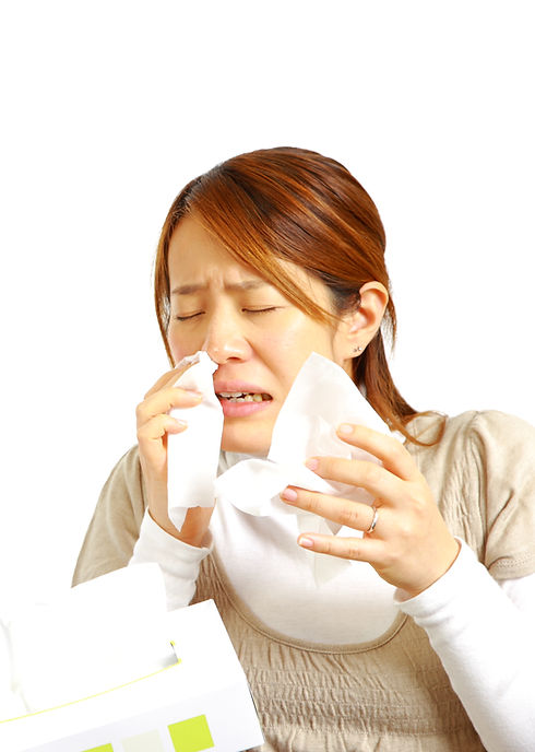 allergic rhinittis.jpeg