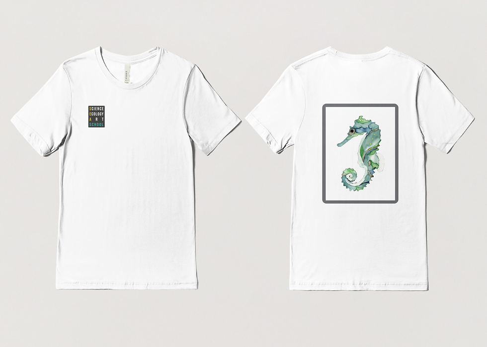 Thumbnail: Adult SEA School T-Shirt