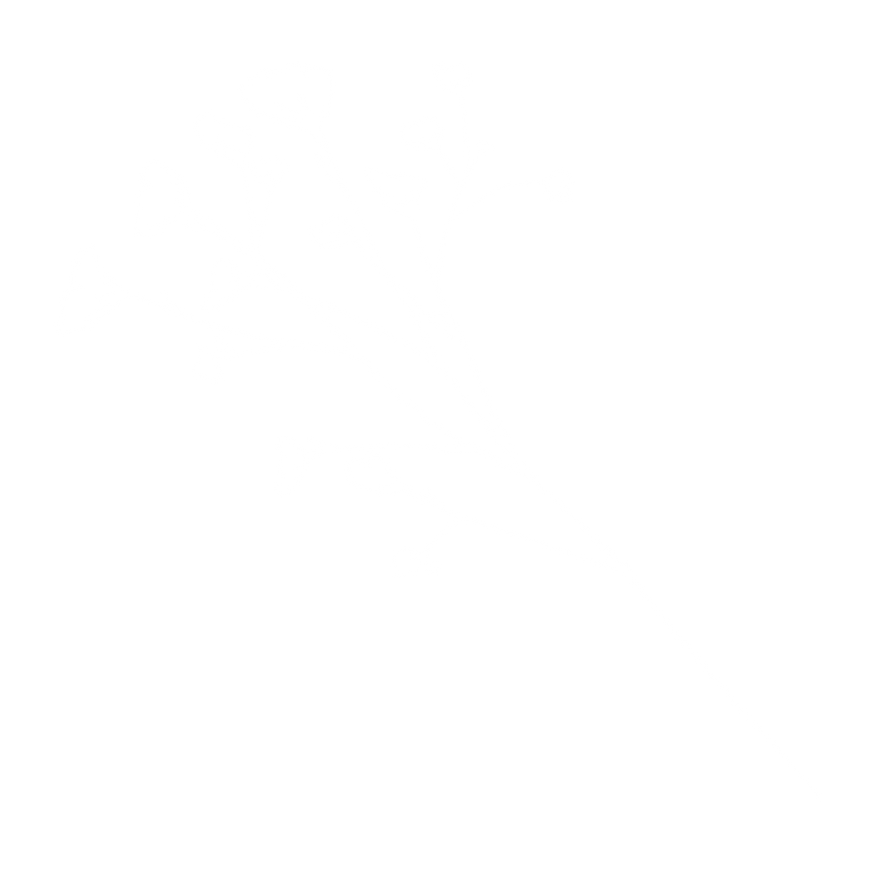BabysBreath-13White.png