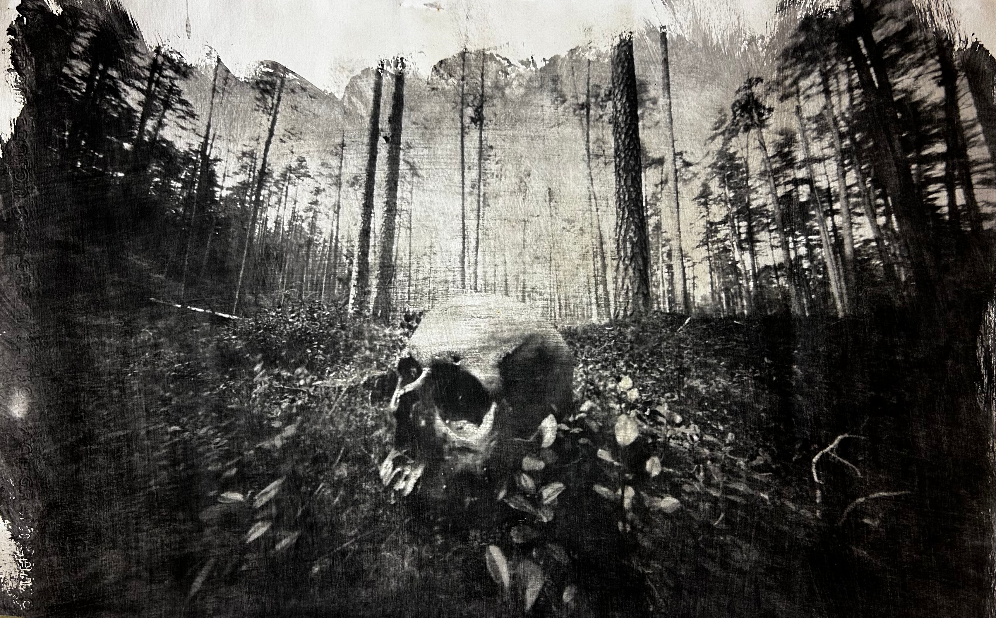 SKULL IN LINGONBERRIES | KRISTIANS BREKTE