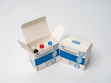 RT-PCR Kit for COVID-19.jpg
