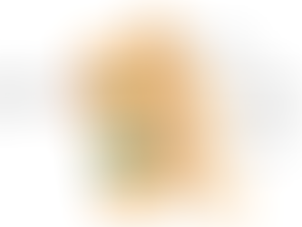 BICO DE PAPAGAIO OU OSTEOFITO NA COLUNA. Como acabar com as dores?