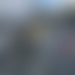 Studying @ CBS: Academic Experience 