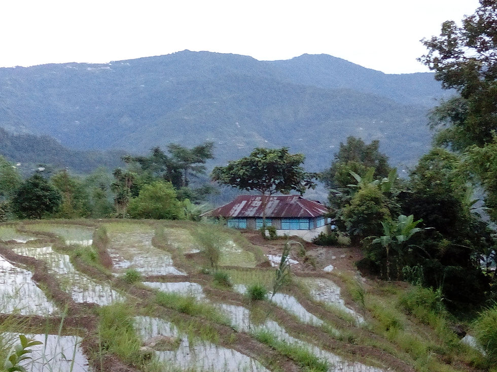 Organic Farming