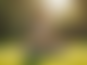 Gynecological Health Through Holistic Therapies