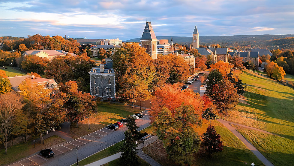 Phenix City AL to Atlanta GA transportation by Armor Lenix Transportation