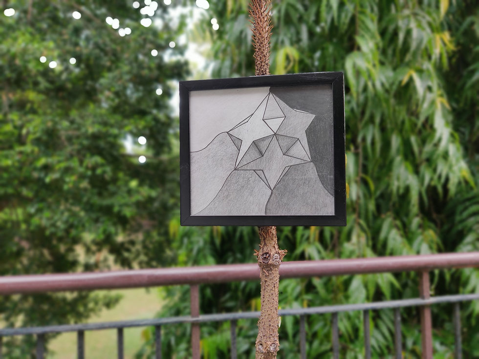 Thumbnail: Star Polyhedron Scooped