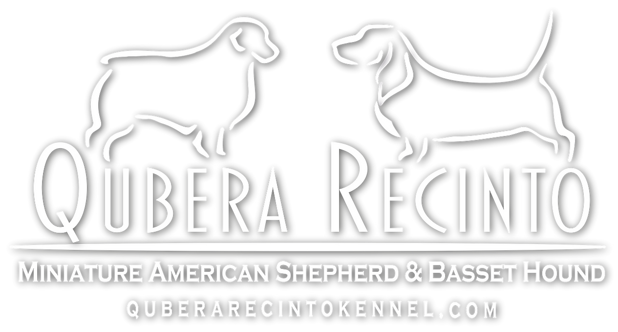 Logo Qubera Recinto Kennel