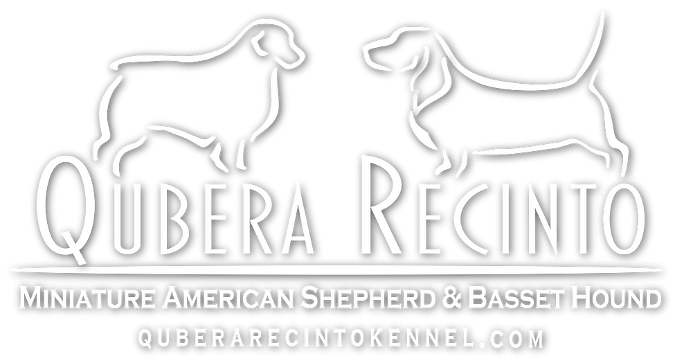 Logo Qubera Recinto Kennel