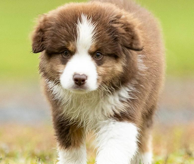 Qubera Recinto's High Voltage