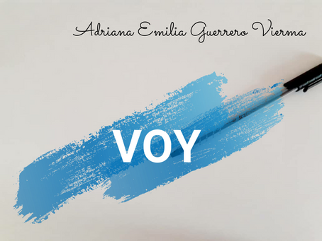 Voy