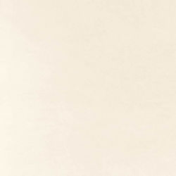 Bianco Denso
