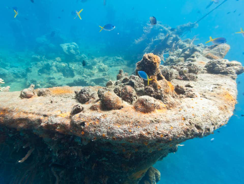 east-tangat-gunboat-coron