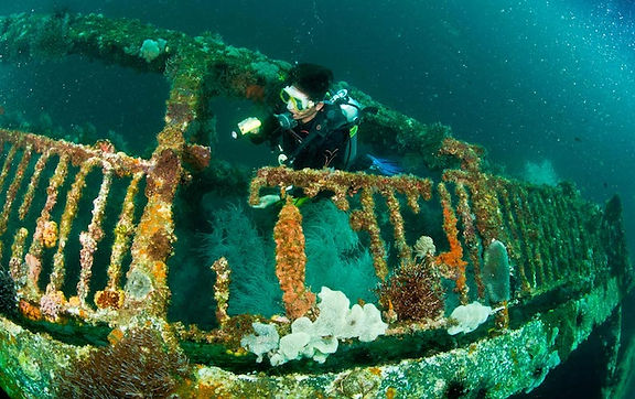 skeleton-wreck-coron.jpg