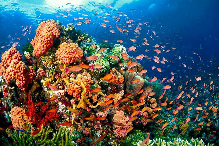 Quin Reef