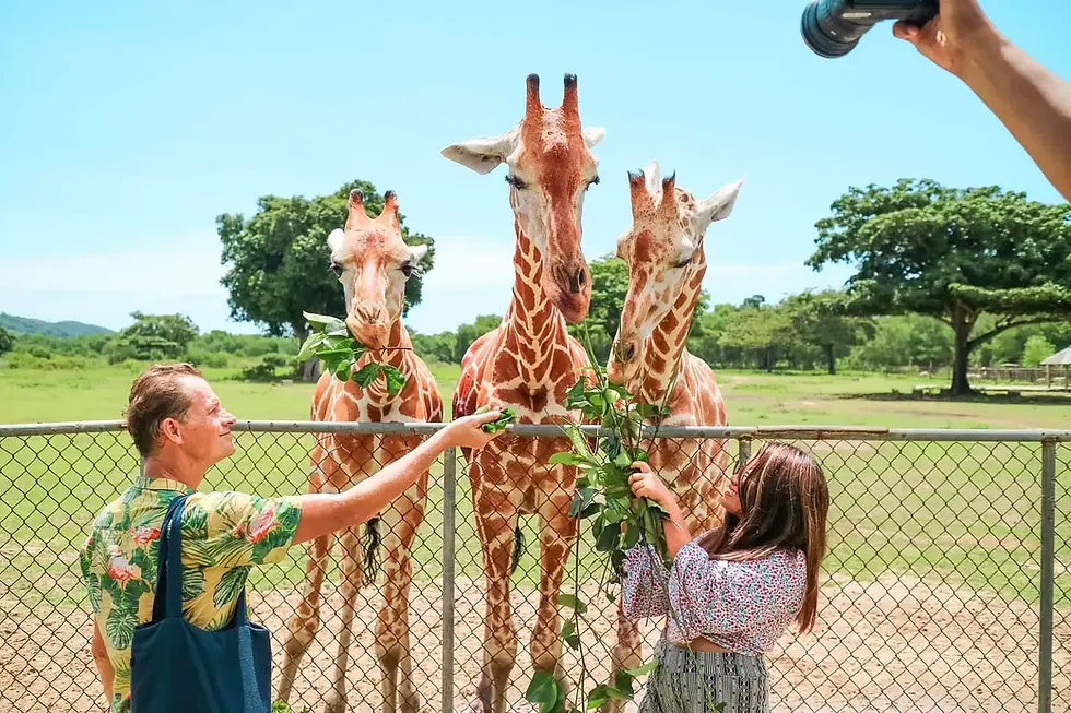 Calauit-safari-park-family-adventure-coron-Palawan-tour-philippines-1