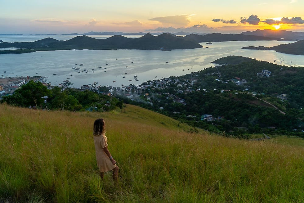 Mt. Tapyas View