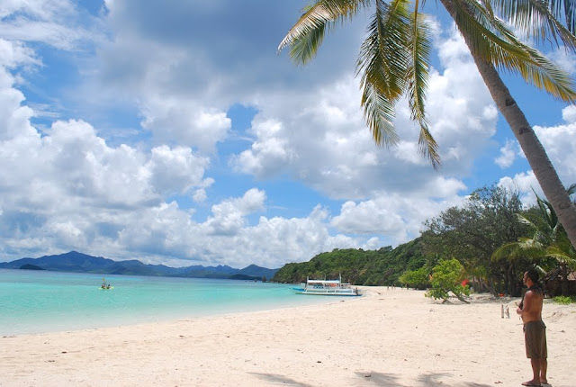 palawan 354-354