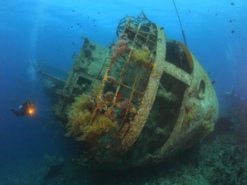 Skeleton Wreck