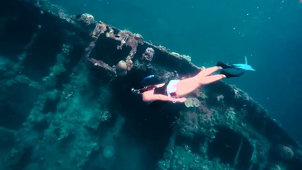 Skeleton-wreck