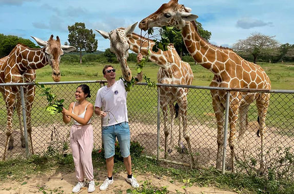 Feeding-Giraffes-in-Calauit-Safari-Park-1024x768.jpeg